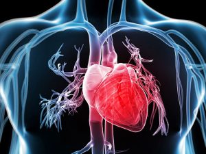 آنژیوگرافی-قلب-