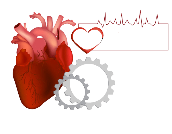 نلقی نظره على مرض عدم انتظام ضربات القلب